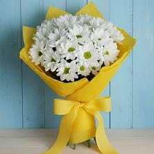 Букет цветов из:  Хризантемы в Николаевке Еврейской автономная области