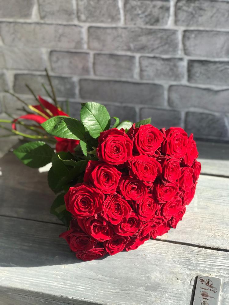 Букет Красные розы Фридом в Николаевке Еврейской автономная области
